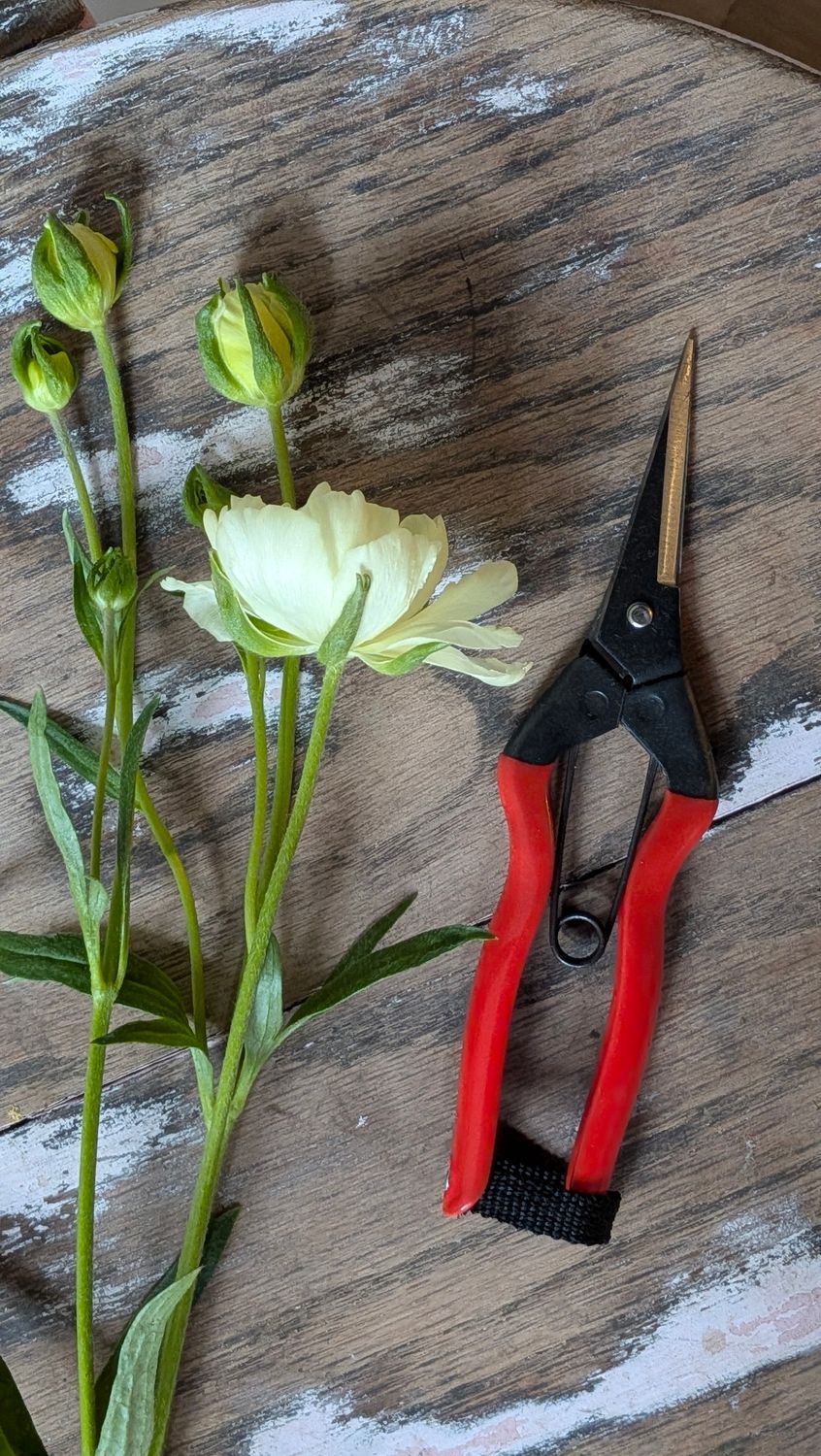 Niwaki Garden Snips