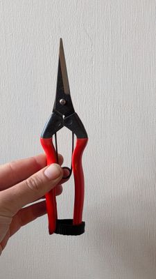 Niwaki Garden Snips