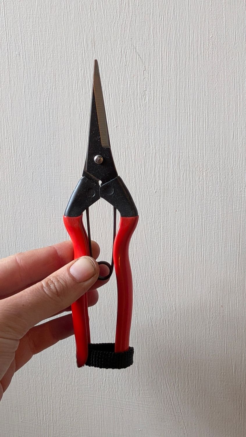 Niwaki Garden Snips