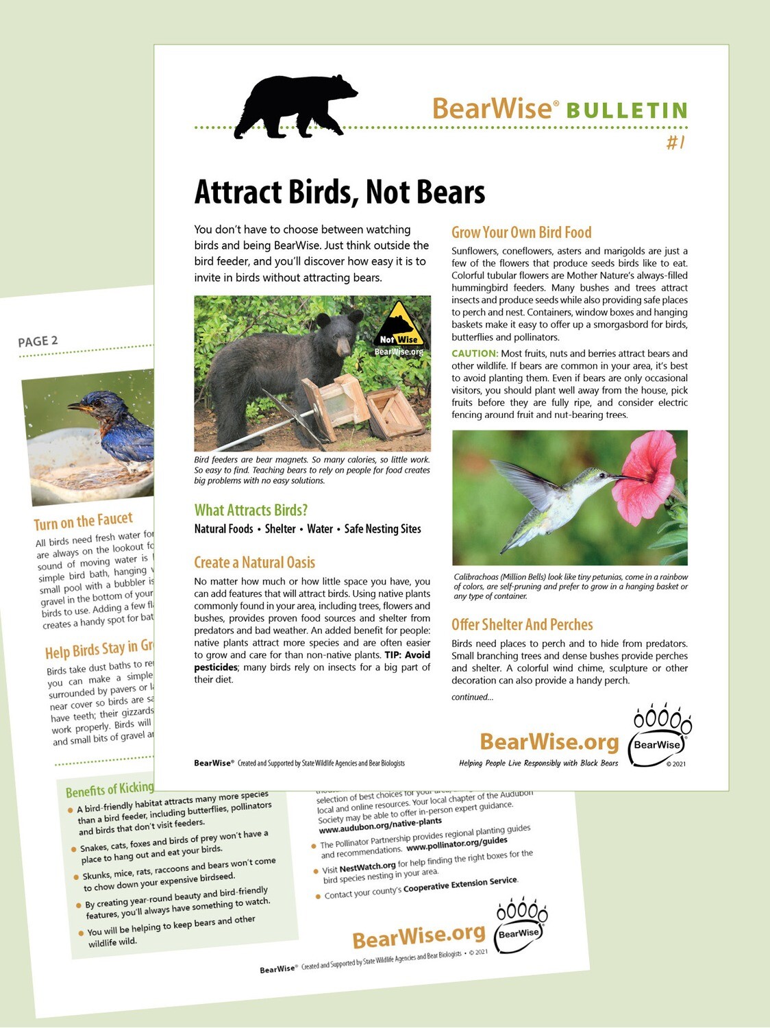 BearWise Bulletin #1: Attract Birds, Not Bears (PDF download)