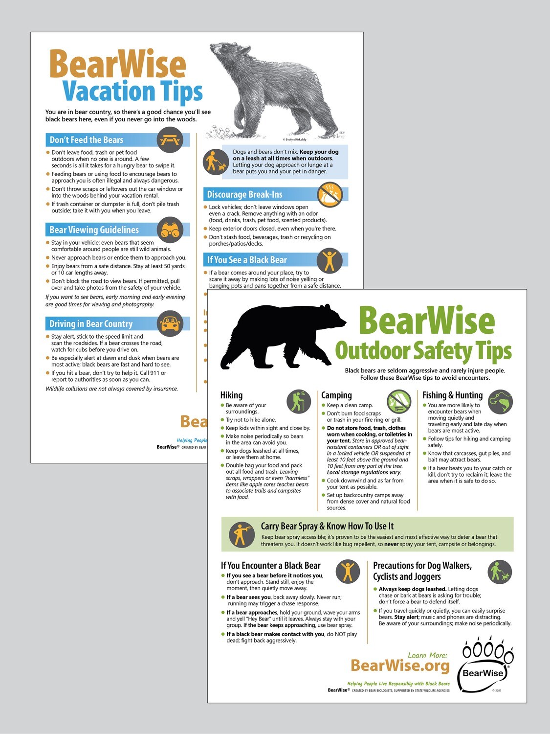 Combo Flyer: BearWise Vacation / Outdoor Safety Tips