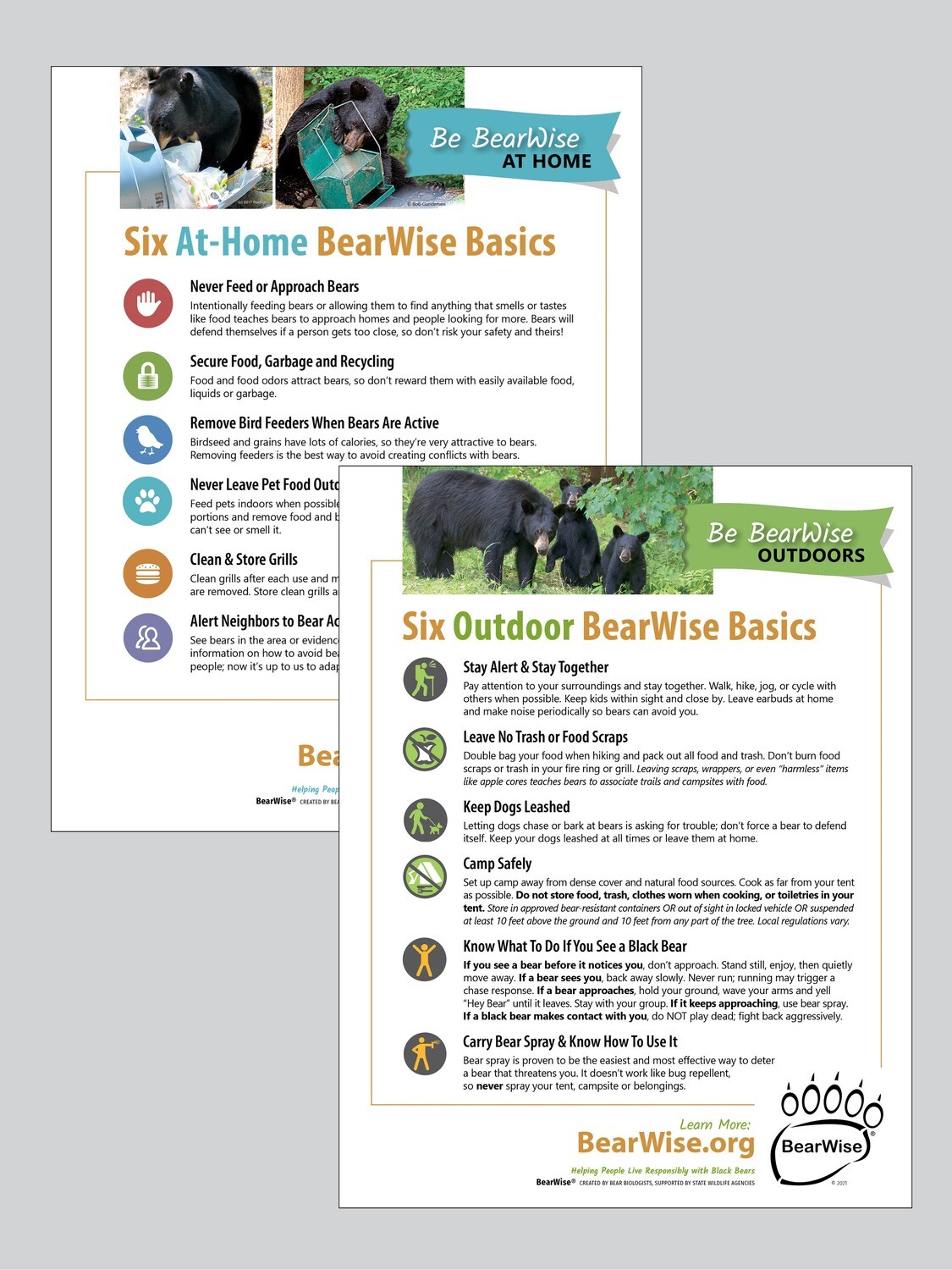 Combo Flyer: BearWise Basics, At Home & Outdoors