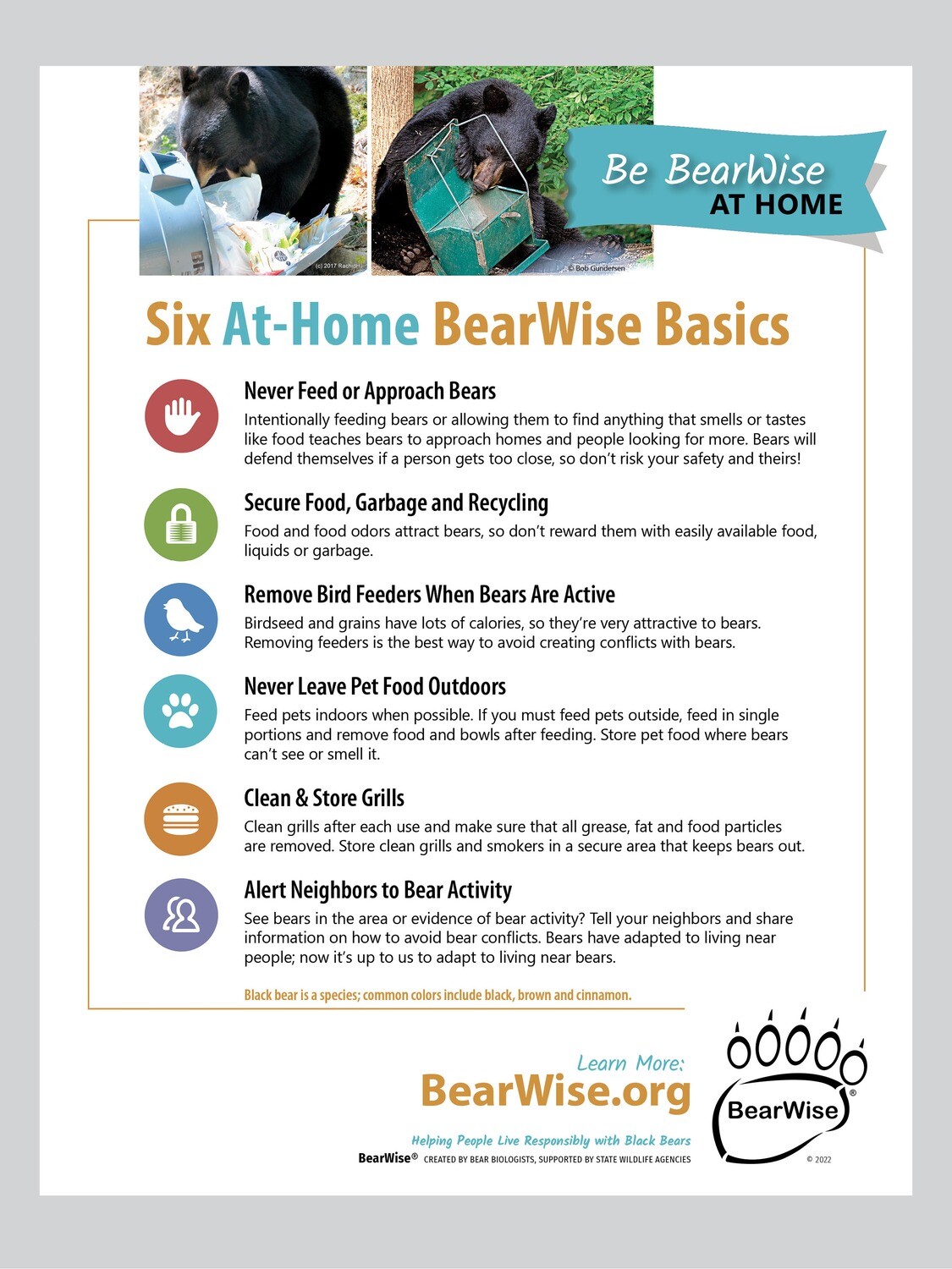 At-Home BearWise Basics Flyer