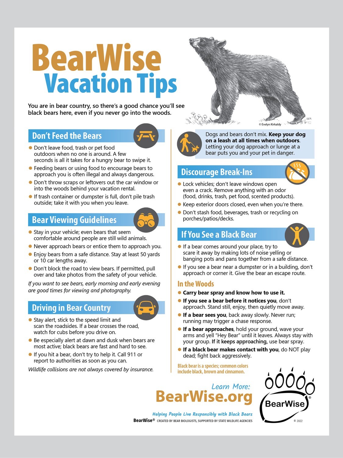 BearWise Vacation Tips Flyer