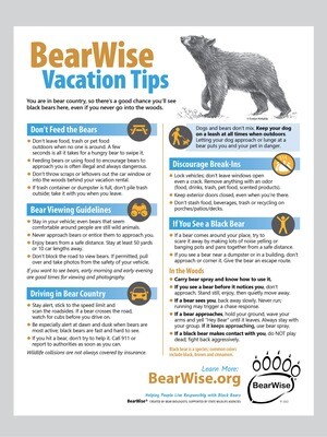 BearWise Vacation Tips Flyer