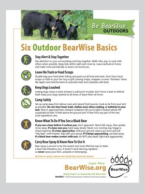 Outdoor BearWise Basics Flyer