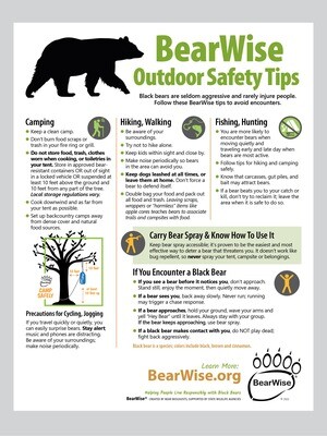 BearWise Outdoor Safety Tips Flyer
