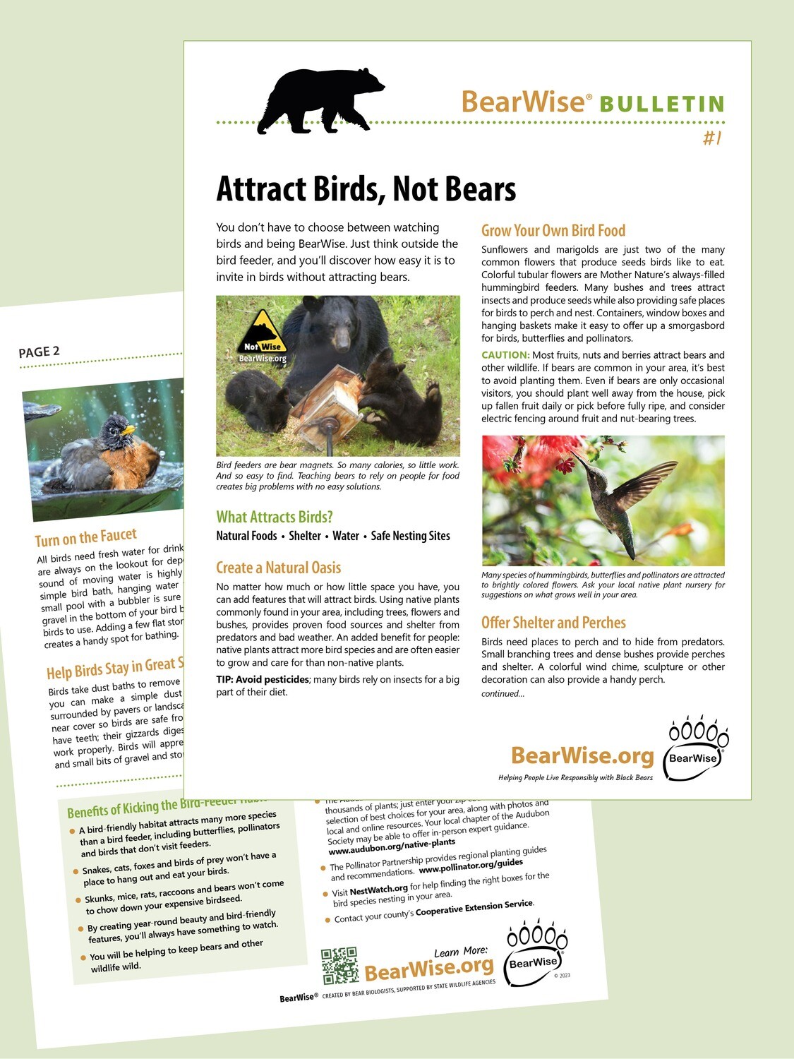 BearWise Bulletin #1: Attract Birds, Not Bears