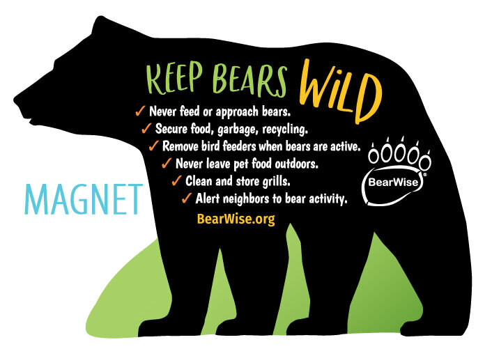 BearWise Basics Magnet (indoor)