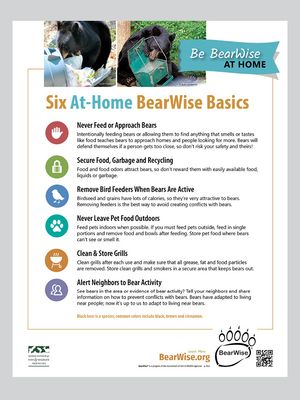 Six At-Home BearWise Basics