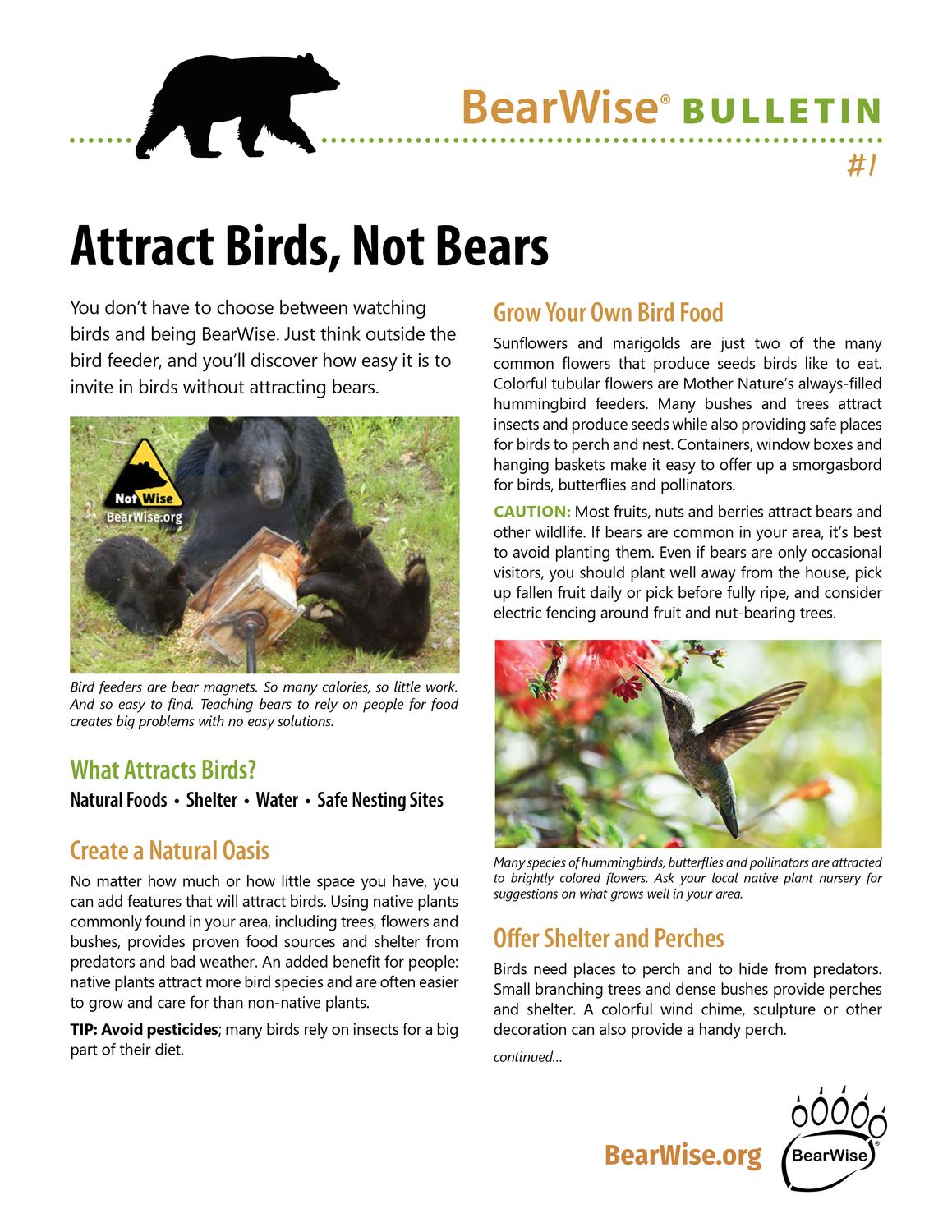 Six At-Home BearWise Basics, image size:1159x1500