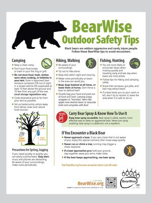 BearWise Outdoor Safety Tips