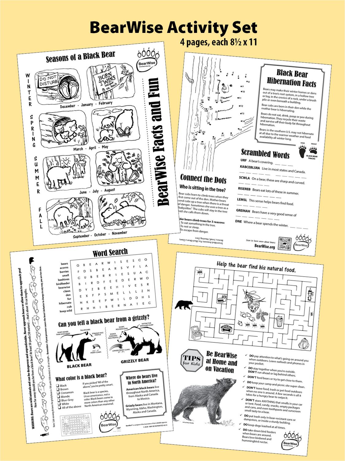 BearWise Facts & Fun 4-page Activity Set BearWise Facts & Fun 4-page Activity Set