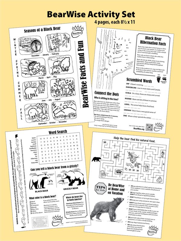 BearWise Facts & Fun 4-page Activity Set