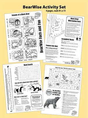 BearWise Facts & Fun 4-page Activity Set