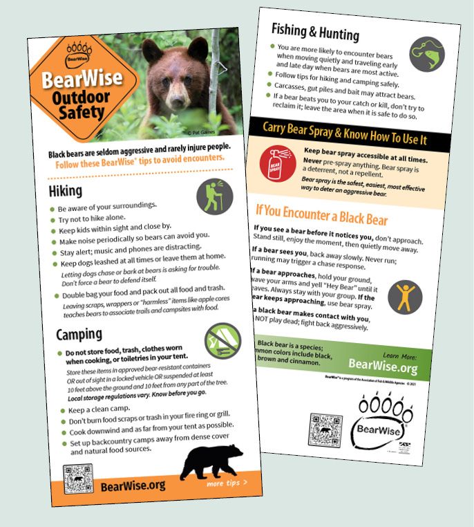 BearWise Outdoor Safety Card BearWise Outdoor Safety Card