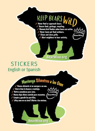 BearWise Basics sticker