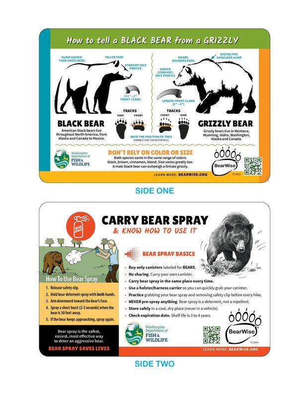 Pocket Cards: Bear I.D. / Bear Spray Basics Pocket Cards: Bear I.D. / Bear Spray Basics