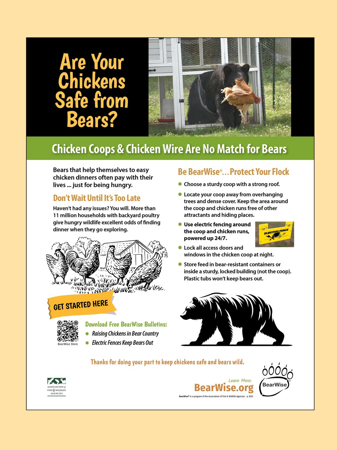 Keep Chickens Safe