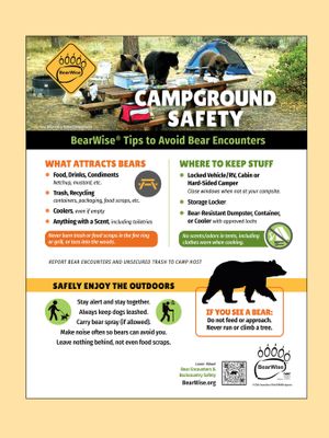 Campground Safety Flyer