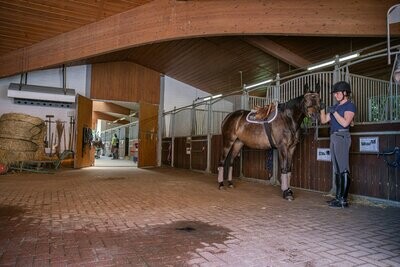 Stall, Weide & Platz