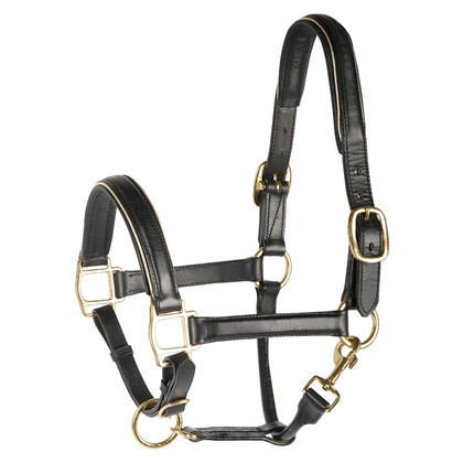 Lederhalfter, Schwarz mit Paspel, Pony new