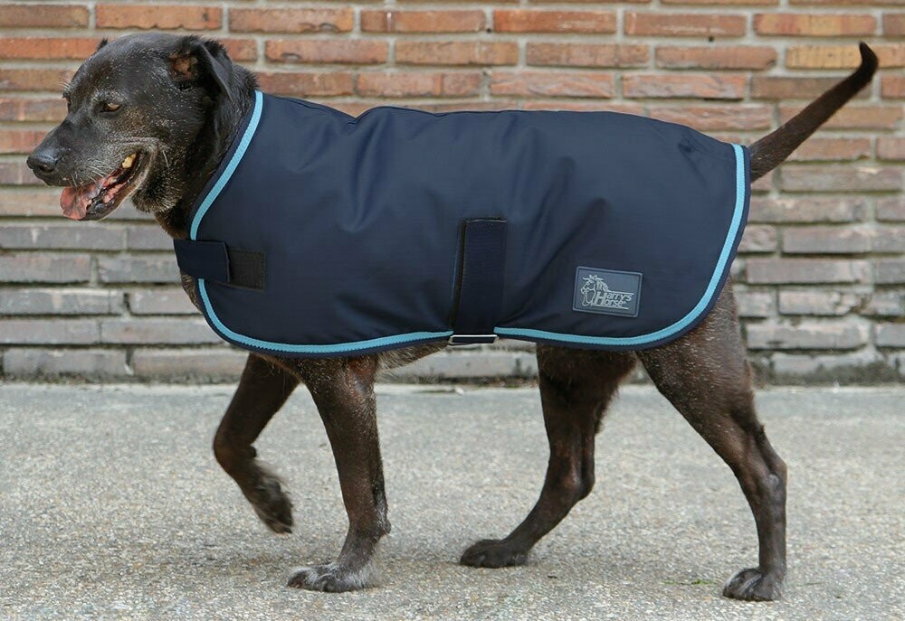 Hundedecke Winter, hellblau, grau eingefasst, 40 cm  new