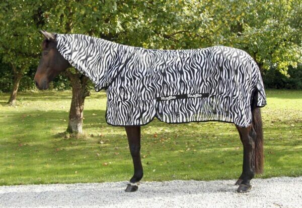 Covalliero RugBe Fliegendecke Zebra inkl. Halsteil 155 cm new