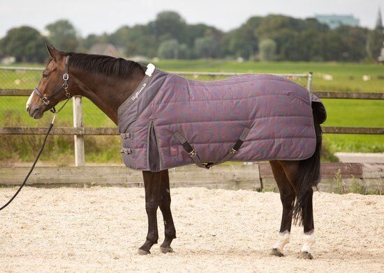 Harry´s Horse Stalldecke Highliner Snow 200gr ebondy new