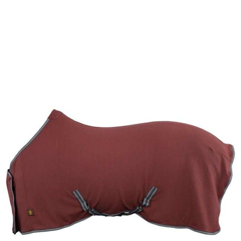 BR Fleece Sponsorendecke  Passion maat  215/185 new