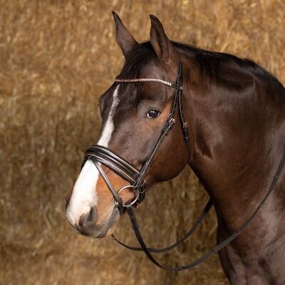 Zaumzeug Rosegold Wide - Schwarz - Größe Cob Zaumzeug Rosegold Wide - Schwarz - Größe Cob