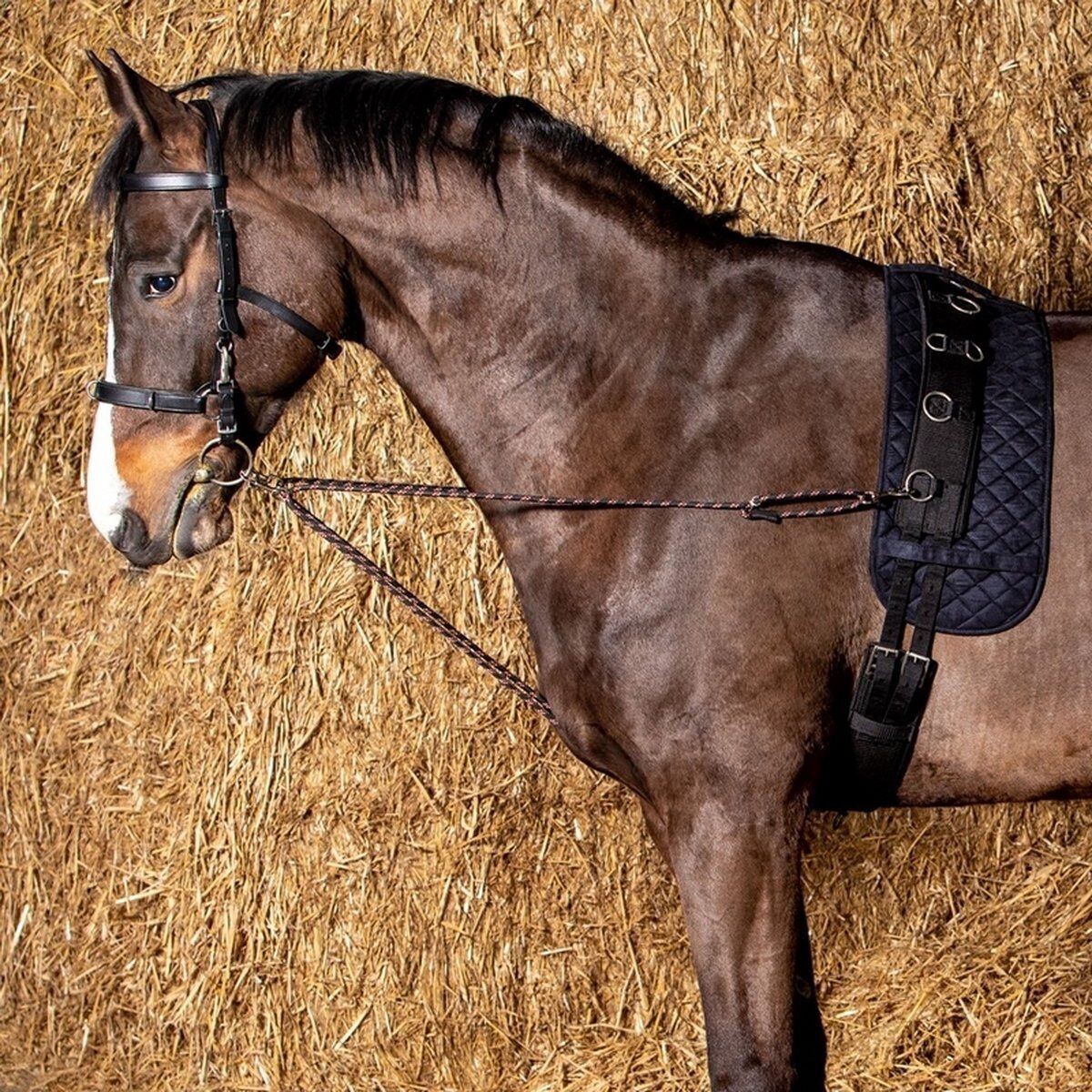 ​Longier-Ausbinder V-Line (Paar)