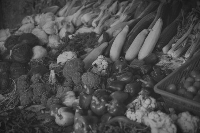 Vegetarian &amp; Vegan