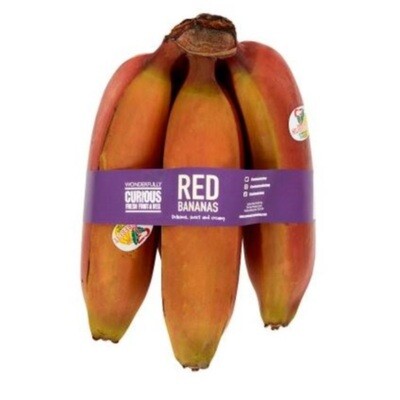 Curious Red Banana
