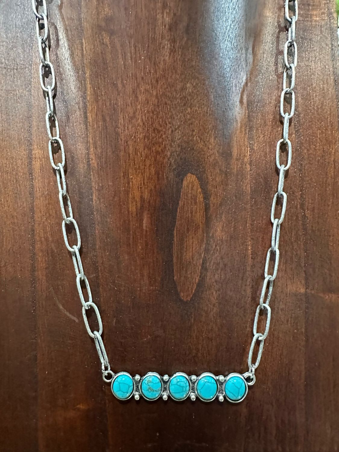 Cowgirl Territory 22" Necklace
