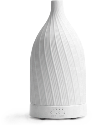 Fern &amp; Petal - White Ceramic Diffuser 