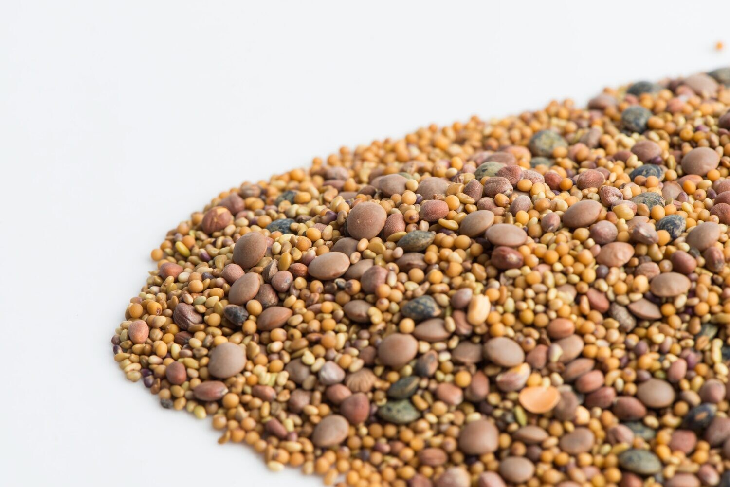 Mumm&#39;s Sprouting Seeds (Spicy Lentil Crunch 125g)