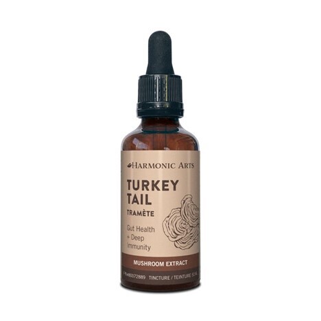 Harmonic Arts - Turkey Tail Tincture (50ml)