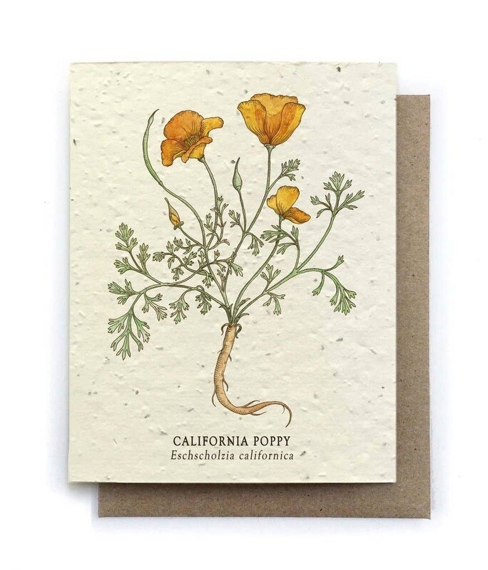 Plantable Seed Cards