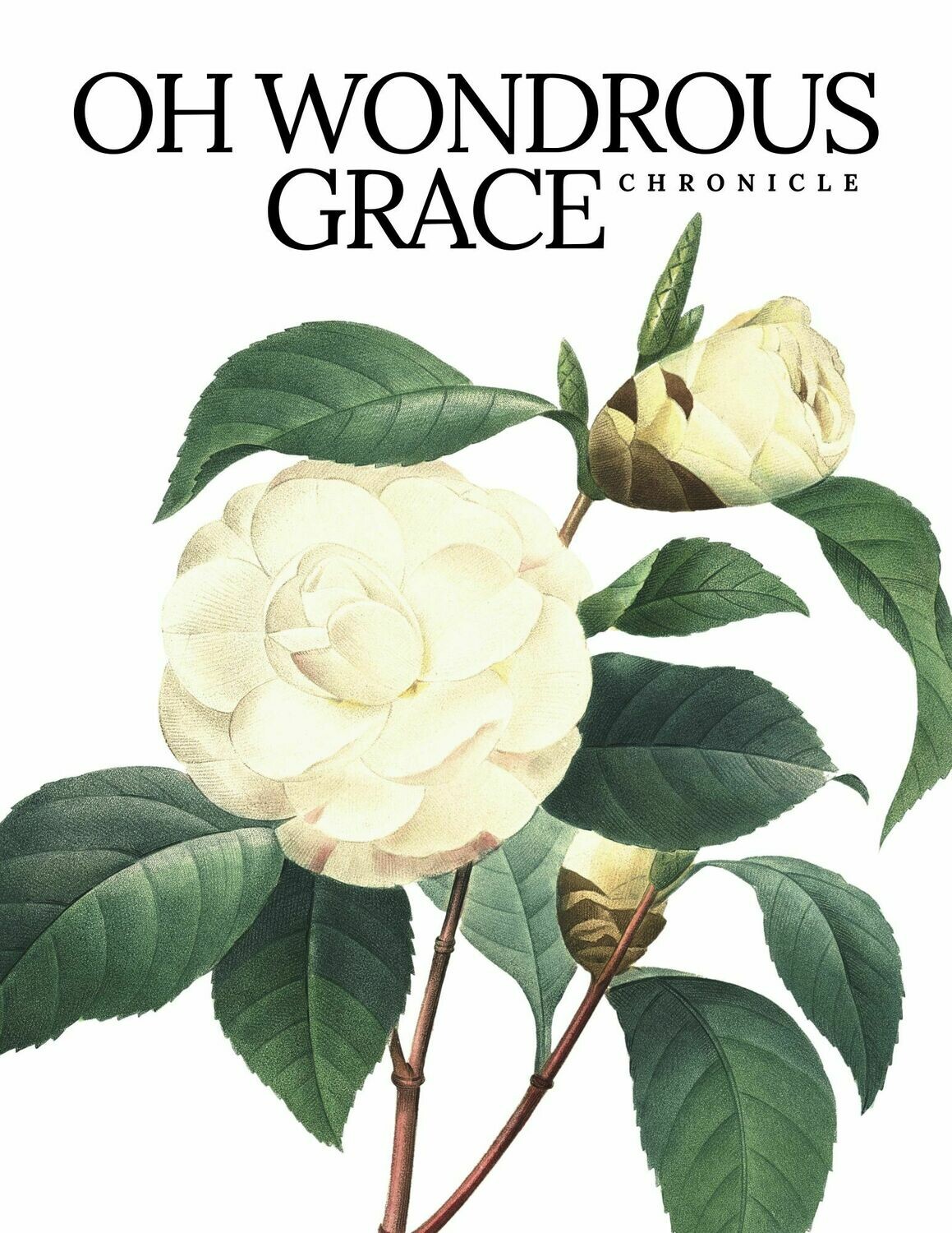 UPCOMING Printable January/February 2021- Bible-Based Essays, Poetry and Art Emailed in 8 Weekly Installments UPCOMING Printable January/February 2021- Bible-Based Essays, Poetry and Art Emailed in 8 Weekly Installments