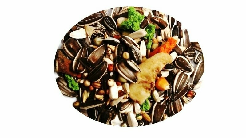 MIXTURA PAPAGAIO CON FRUTAS