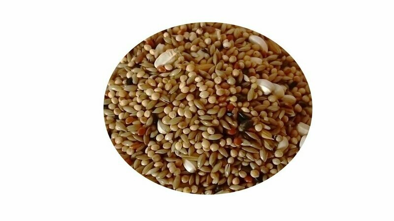 MIXTURA AGAPORNIS PREMIUM