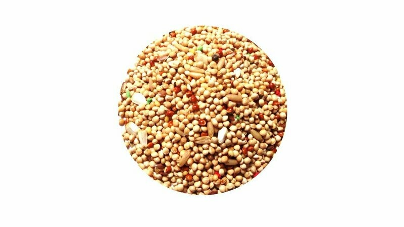 MIXTURA PERIQUITO