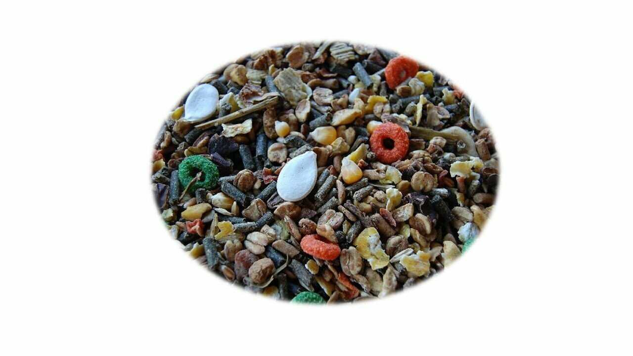 MIXTURA CHINCHILLA