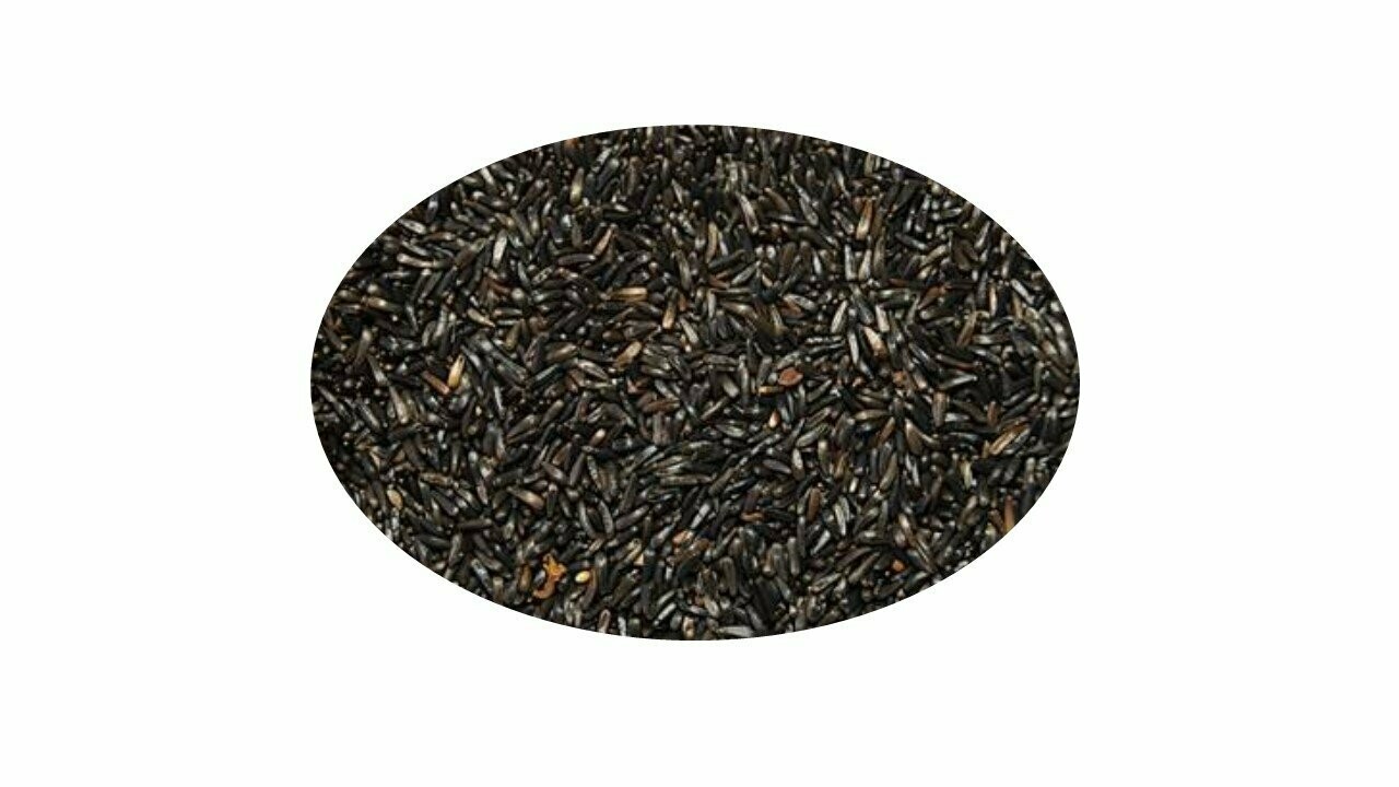 NEGRILLO