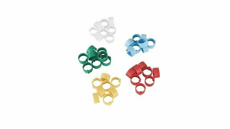 ANILLAS CLIP AVES