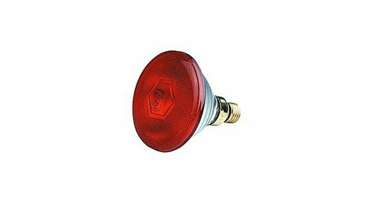 BOMBILLA INFRARROJOS DE 175W