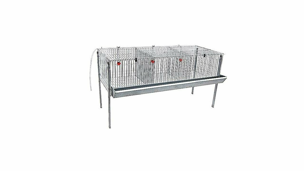 JAULA DE POLLOS POLY- 3