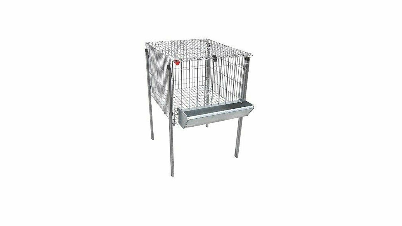JAULA DE POLLOS MOD. POLY-1