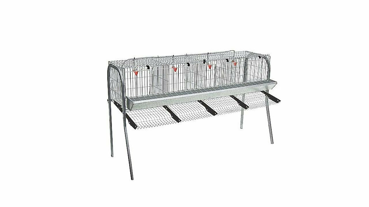 JAULA GALLINAS MOD. A-4